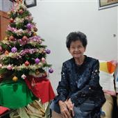 Bản