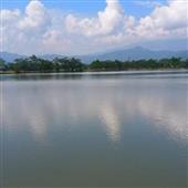 mạt