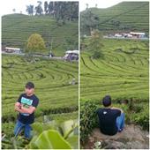 Đá 