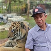 Cỏ 