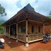 Tài