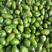Dự 
