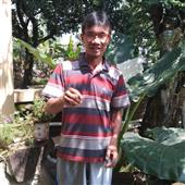 NGỰ