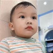 Vàn