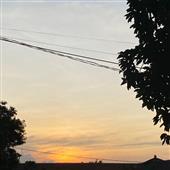 Rồn