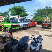 Trự