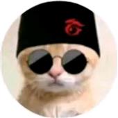 Soi