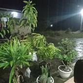 Kết