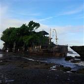 Rồn