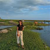 Tài
