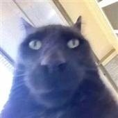 PHÚ
