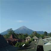 Vợt