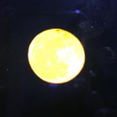 Hải