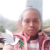 Soi