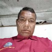 Bón