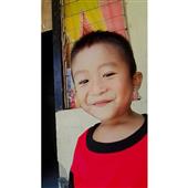 Thự