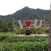 Trự