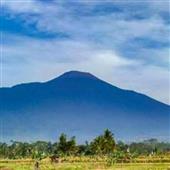 Trọ