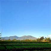Tại