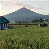 Luậ