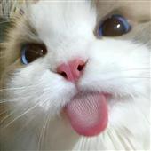 Điể