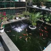 Nhậ