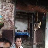 Ngọ