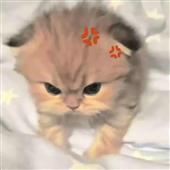 Him