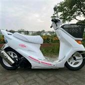 Giả