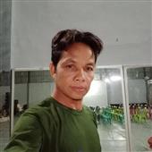 giả