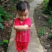 ngư