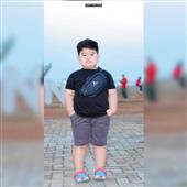 Voo