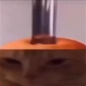Anh