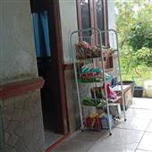 Siê
