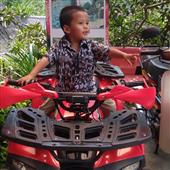 Wil