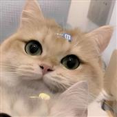 Luậ