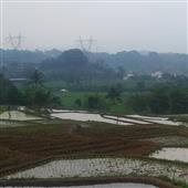 Trứ