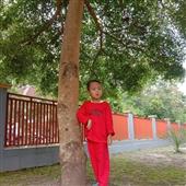 Bầu