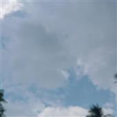 PHÚ