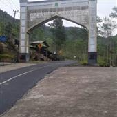 Hồn
