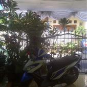 Bản