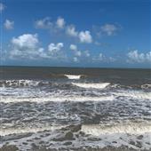 Tài