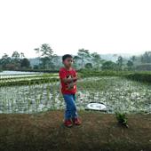 Bộ 