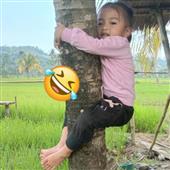 Pai