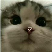 Các