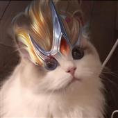 VOI