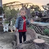 RỒN