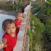 Dự 