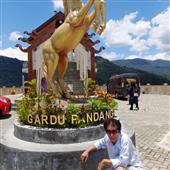 nữ 