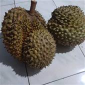 1 đ